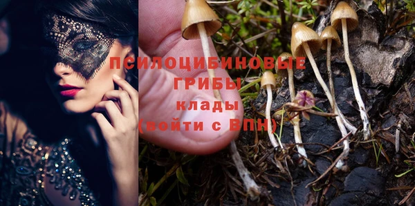 не бодяженный Кулебаки