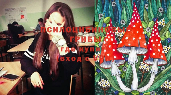 таблы Лабытнанги
