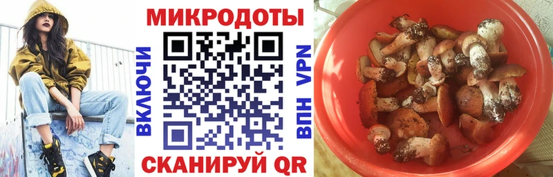 Купить закладки  Мезень  Галлюциногенные грибы Magic Shrooms 